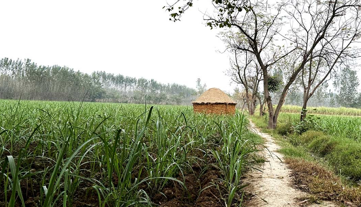 Bringing Pure, Honest Food Back to Your Homes